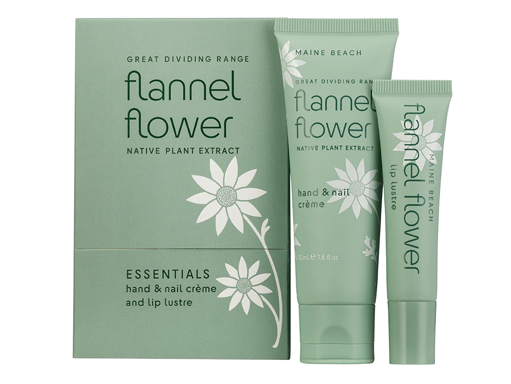 Flannel Flower Indulgence
